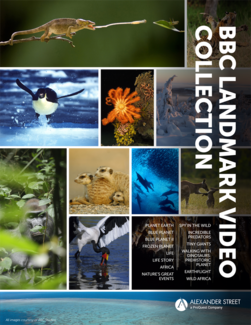 cover for bbc landmark video collection