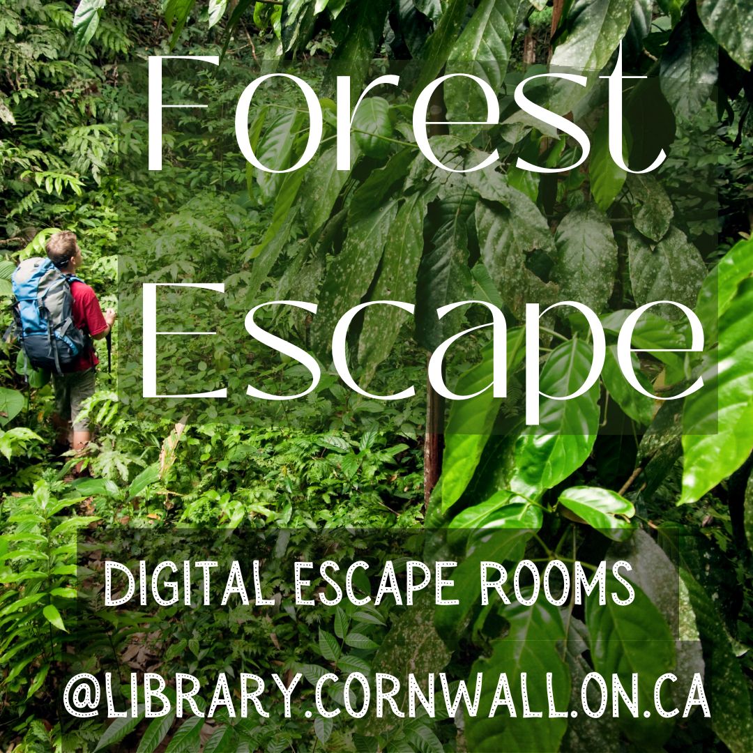 Forest escape