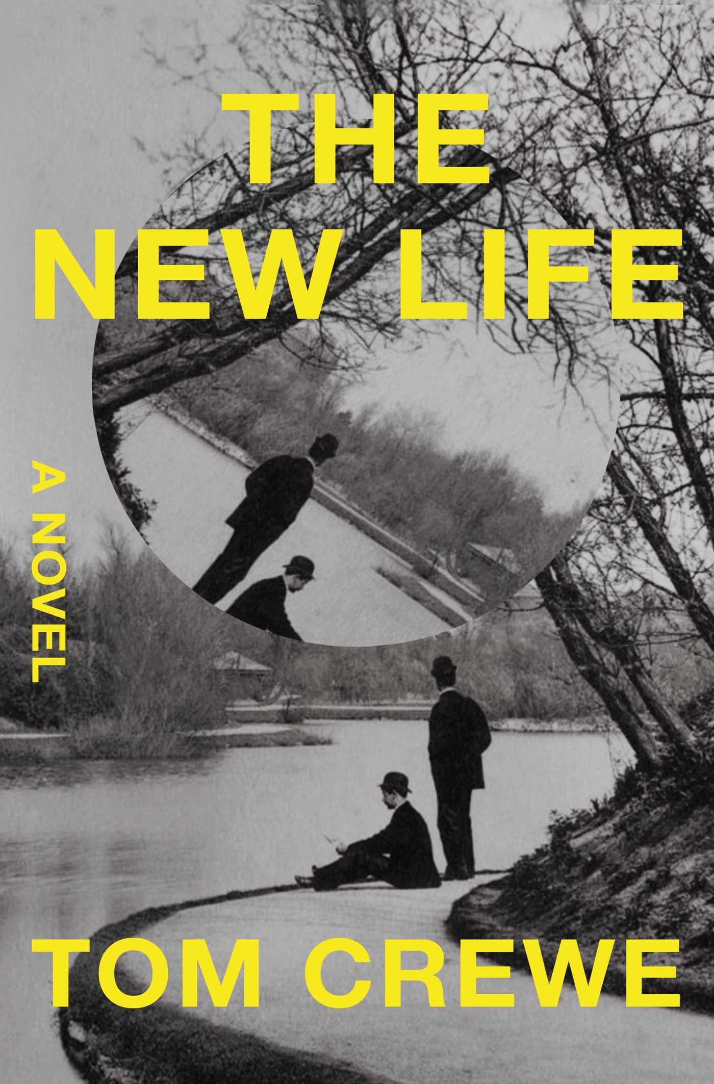 The new life: a novel 