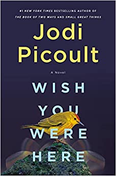 Wish you were here : a novel 