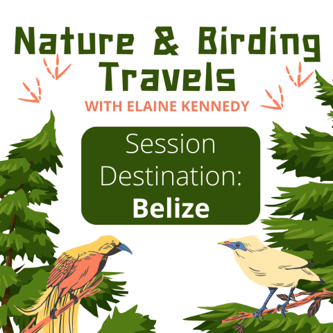 Nature & Birding Travels with Elaine Kennedy. Session destination: Belize