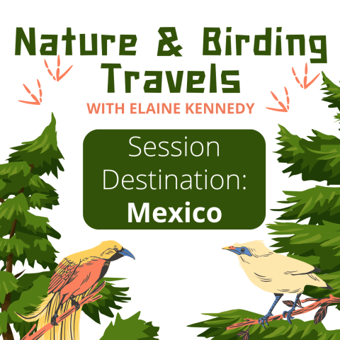 Nature & Birding Travels with Elaine Kennedy. Session destination: Mexico