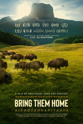 movie cover for Bring Them Home