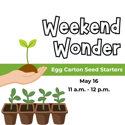 Weekend Wonder: Egg Carton Seed Starters, May 2, 11am-12pm