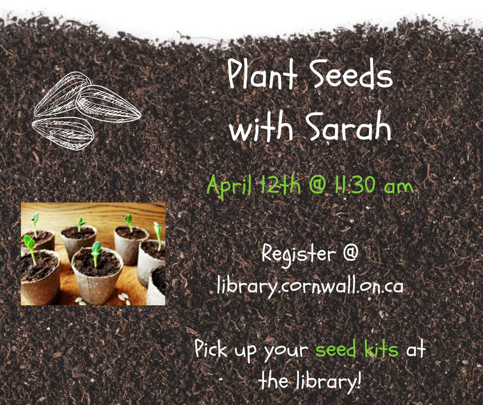 Plant Seeds with Sarah