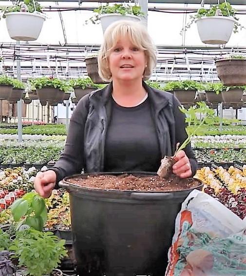 Diane Lunan of Marlin Orchards