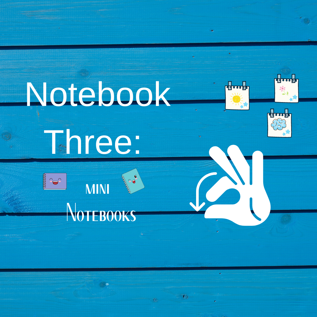 Mini Notebooks