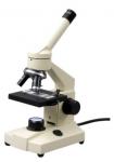  Microscope